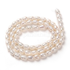 Нити из натурального культивированного пресноводного жемчуга PEAR-L033-58-01