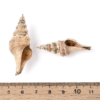 Подвески из натуральных морских ракушек с позолоченной латунной окантовкой BSHE-T014-20-1