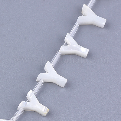 Бусины из натуральных морских раковин X-SHEL-T012-60Y-1