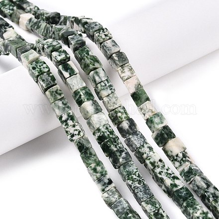 Натуральные зеленые пятна яшмовых нитей G-T139-6x6-23A-1