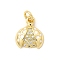 Brass Micro Pave Cubic Zirconia Pendants, Cadmium Free & Lead Free, Ladybird Charms, with Enamel, Real 16K Gold Plated, with Jump Ring, Clear, 13x11.5x3mm, Hole: 3.4mm