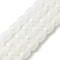 Natural Selenite Beads Strands, Dyed, Drum, Clear AB, 9x6mm, Hole: 1.2mm, about 43pcs/strand, 15.35''(39cm)