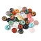Natural & Synthetic Mixed Gemstone Donut/Pi Disc Charms, Mixed Dyed and Undyed, 12x5.5~6mm, Hole: 2mm