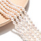 Natural Cultured Freshwater Pearl Beads Strands, Rice, Grade 4AB, Creamy White, 5~6.5x4.5~5mm, Hole: 0.5mm, about 69~70pcs/strand, 15.55~15.75 inch(39.5~40cm)