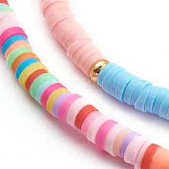 Радуга из полимерной глины цепочки для очков хейши из бисера AJEW-EH00316