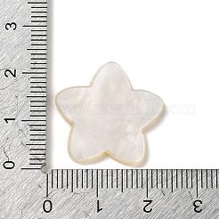 Кабошны из акрилового пластика OACR-R269-01C