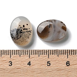 Натуральные дендритные агатовые кабошоны G-B138-03