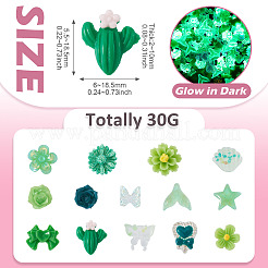 30 г светящихся непрозрачных кабошонов из смолы&nbsp;CRES-TA0001-55B