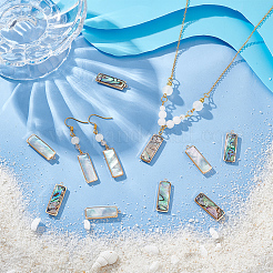 12 шт. 2 стиля подвески из натуральной ракушки пауа/ракушки абалона FIND-BC0013-35