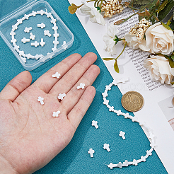 3 нить бусин из натуральных пресноводных ракушек&nbsp;SHEL-HS0001-15