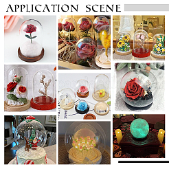 8 комплект 8-х круглых стеклянных купольных крышек&nbsp;AJEW-PH0004-87