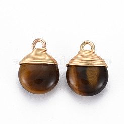 Природных тигровый глаз подвески&nbsp;G-S359-288B