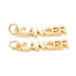 Латунные подвески&nbsp;KK-J276-14