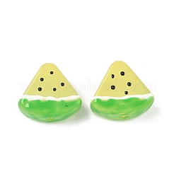 Бусины из стеклянной эмали LAMP-C019-02C