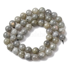 Естественно лабрадорита шарик нити&nbsp;G-P259-05-8mm