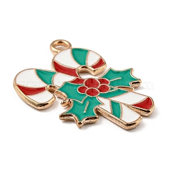 Подвески из эмали и сплава&nbsp;ENAM-G218-B04