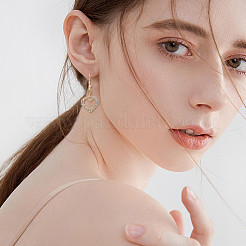 40 шт. 2-х цветные подвески из сплава со стразами ALRI-FH0001-20