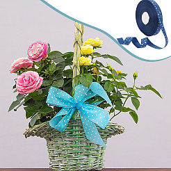 Лента из полиэстера в крупную ленту длиной 100 ярдов со звездами. OCOR-WH0088-76