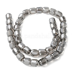 Стеклянные бусины с гальваническим покрытием  EGLA-L045-E-PL01