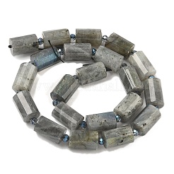 Природные лабрадорита бисер нитей&nbsp;G-G453-E10-10x14mm