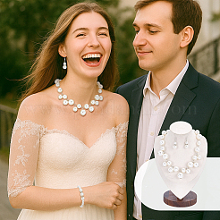 Комплекты сумок-тоут из круглого АБС-пластика с имитацией жемчуга&nbsp;SJEW-PH0001-25