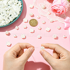 500 шт. 5 стиля бусины из искусственного жемчуга из АБС-пластика OACR-PA0001-02