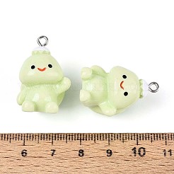 Милые подвески из непрозрачной смолы&nbsp;LS-RESI-I345-01P-03