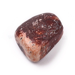 Бусины из природных Leopardskin G-K302-A03