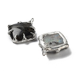 Природные подвески лабрадорита&nbsp;G-G069-02P