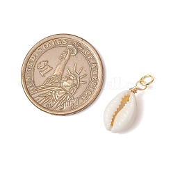 Подвески из натуральной каури&nbsp;PALLOY-JF03712-01