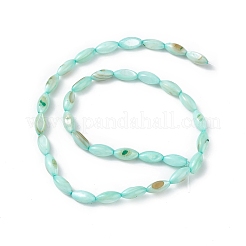 Натуральные пресноводные окрашенные бусы из ракушек SHEL-M018-13-02