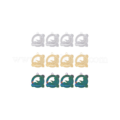 12 шт. подвески из нержавеющей стали 304 двух цветов&nbsp;STAS-DC0013-39