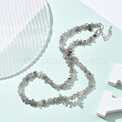 Ожерелья из бисера с натуральным лабрадоритом для мужчин и женщин NJEW-G159-01W