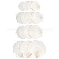 14 шт. 4 стиля аксессуаров для рисования натуральными ракушками DIY-NB0012-05