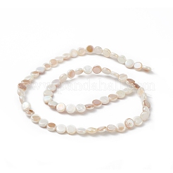 Ab цветные нити из натуральных пресноводных ракушек BSHE-G033-04