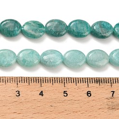 Природных амазонит бисер нитей&nbsp;G-H335-N02-8x10mm