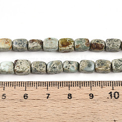 Натуральные варицитовые бусины G-N346-04A-11