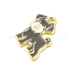 Цинк подвески эмали сплава&nbsp;LS-FIND-Z080-01G-01