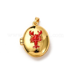 Латунь эмаль Locket подвески&nbsp;LS-KK-K305-05G
