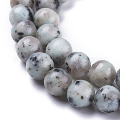 Натуральный кунжут яшма / киви нитки бусины яшмы G-K410-05-8mm