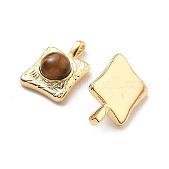 Латунные подвески в виде тигрового глаза&nbsp;KK-B129-11G