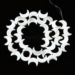 Нити бусин из натуральных трохоидных/трохус ракушек SSHEL-N032-25