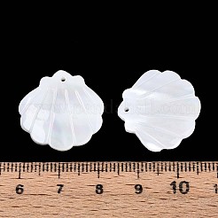 Подвески из натуральной ракушки&nbsp;SSHEL-T017-33