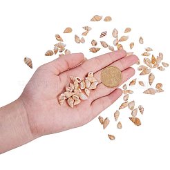 Натуральные спиральные бусы из ракушек SSHEL-PH0002-09