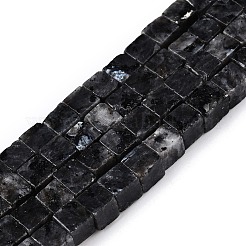 Натуральные нити бус из ларвикита G-T139-6x6-25A