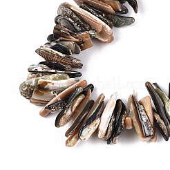 Природные пауа бусы нити SHEL-T020-42