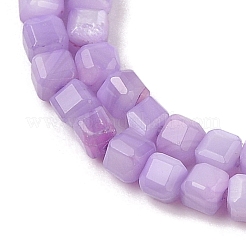 Натуральные пресноводные окрашенные бусы из ракушек SHEL-R100-11A-04