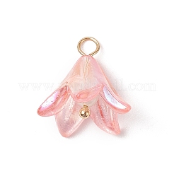 Акриловые подвески&nbsp;PALLOY-TA00023