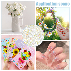 5 пакетик стеклянный кабошон MRMJ-WR0001-03