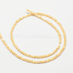 Натуральная морская ракушка&nbsp;SSHEL-M013-2mm-02